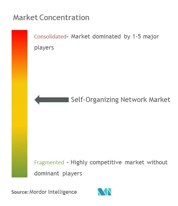 Self-Organizing Network Market Concentration