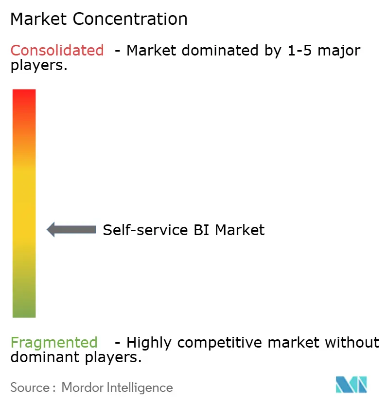 Self-service BI Market Concentration