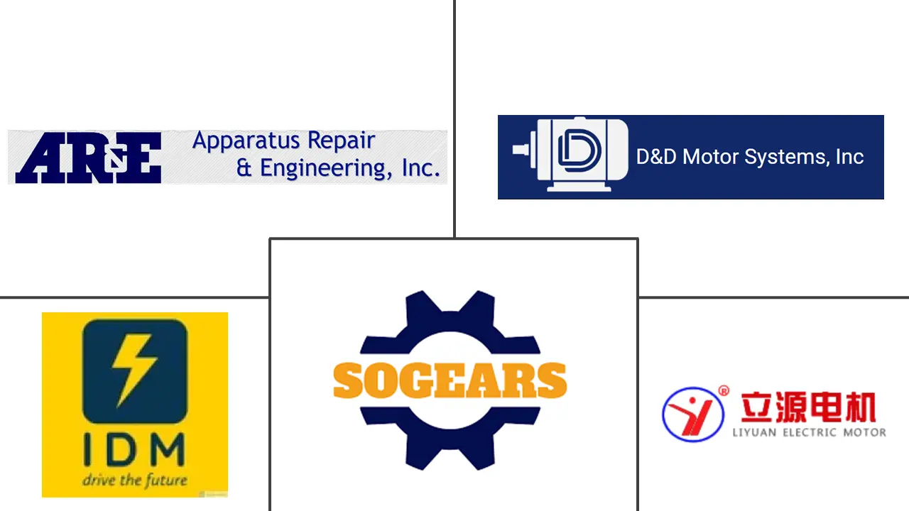 Major players in Separately Excited Motor industry