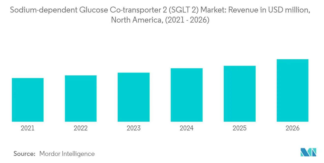 Sodium-Dependent Glucose Co-transporter 2 (SGLT2) Market Growth by Region