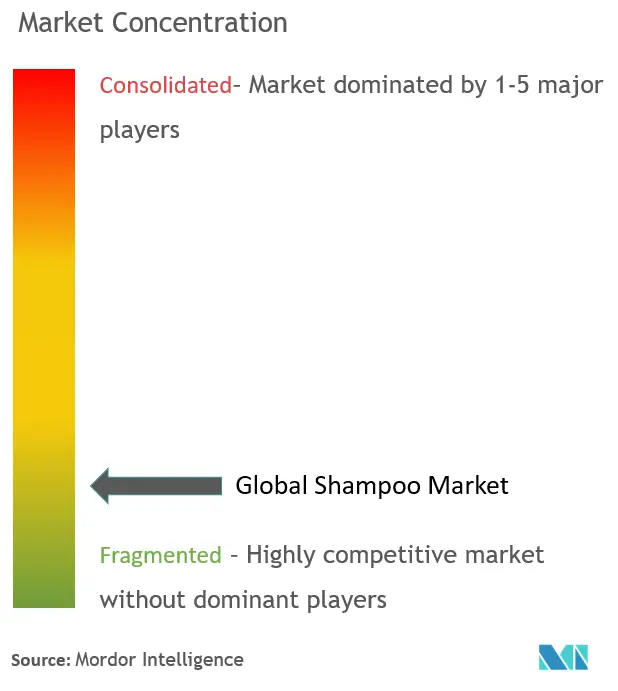 Shampoo Market Concentration