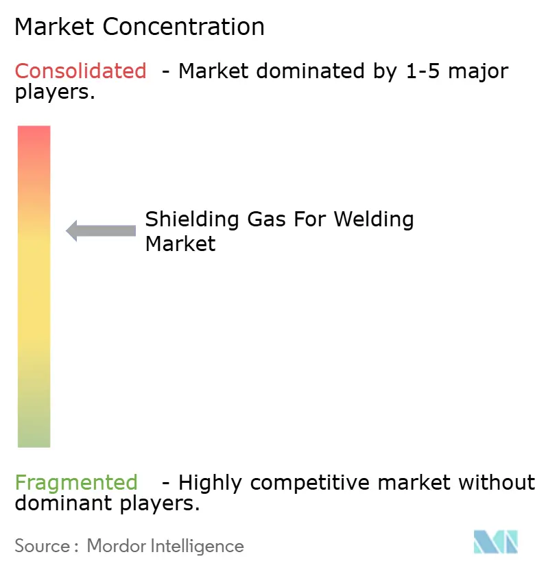 Shielding Gas For Welding Market Concentration