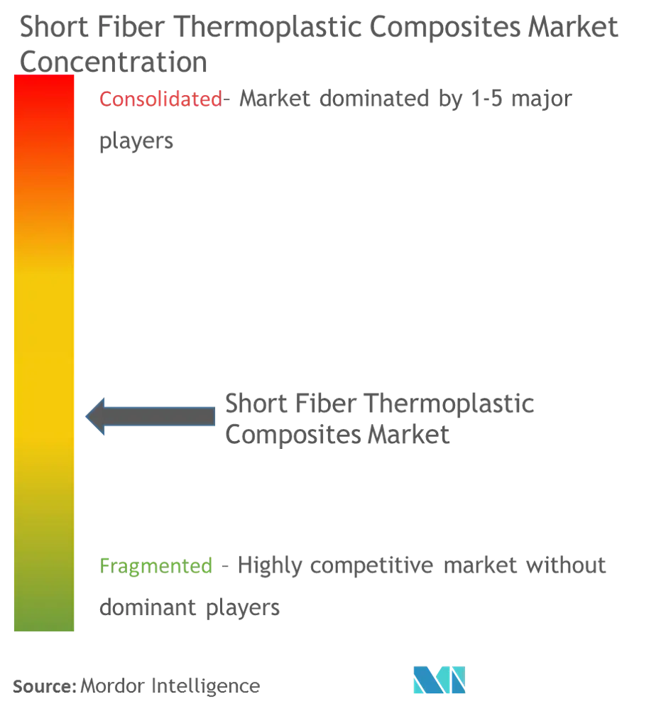 Short Fiber Thermoplastic Composites Market - Market Concentration.png