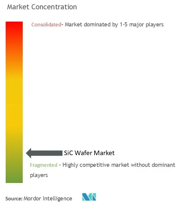 SiC Wafer Market Concentration