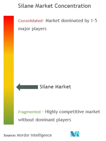 Silane Market - Market Concentration.png