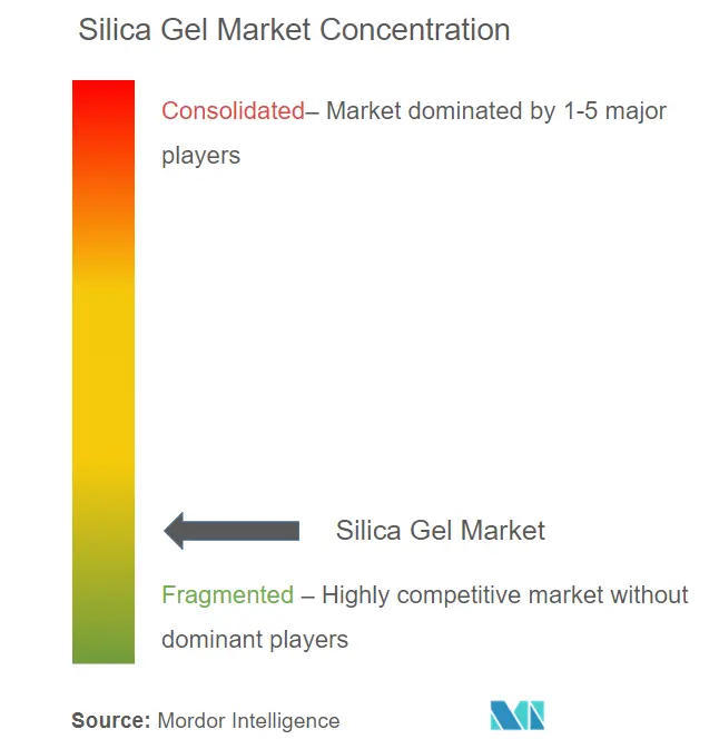  BASF, AGC Chemicals Americas, Cilicant, Clariant, Dessicare, Inc.,  Evonik, Fuji Silysia Chemical,  Merck