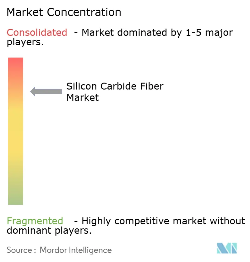 BJS Ceramics GmbH, COI Ceramics Inc, GE Aviation, Haydale Graphene Industries PLC, Matech, NGS Advanced Fibers Co. Ltd, Nippon Carbon Co. Ltd