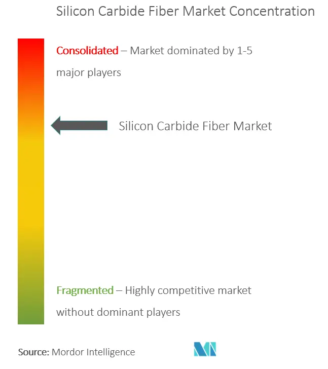 Silicon Carbide Fiber Market - Market Concentration.PNG