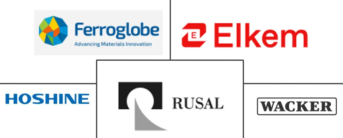 Major players in Silicon Metal industry