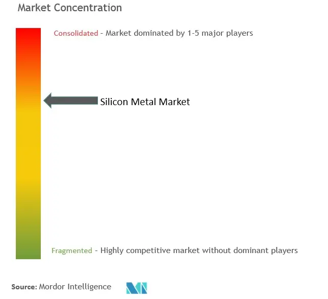 Silicon Metal Market Concentration
