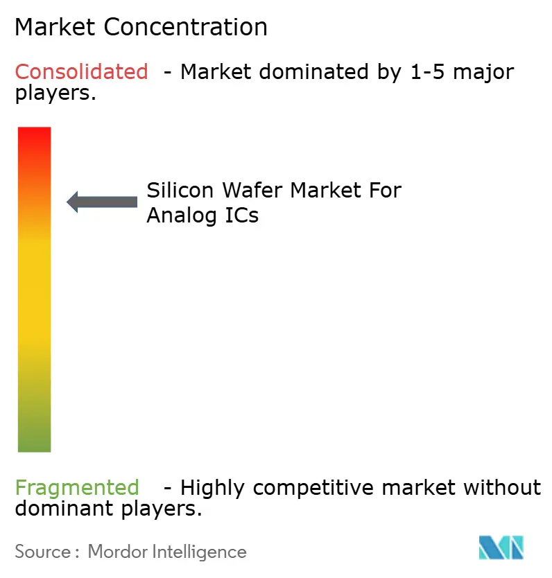 Silicon Wafer Market For Analog ICs Concentration