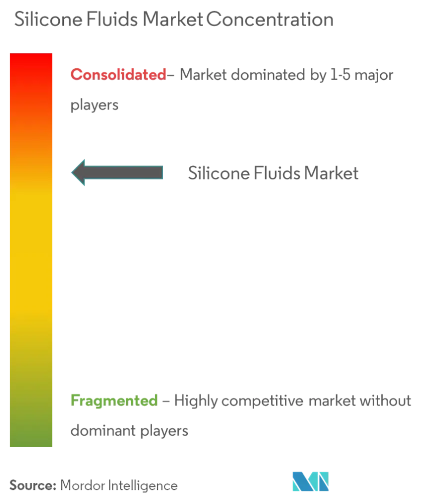 DuPont, GELEST, INC., KCC Basildon, Shin-Etsu Chemical Co., Ltd., Wacker Chemie AG