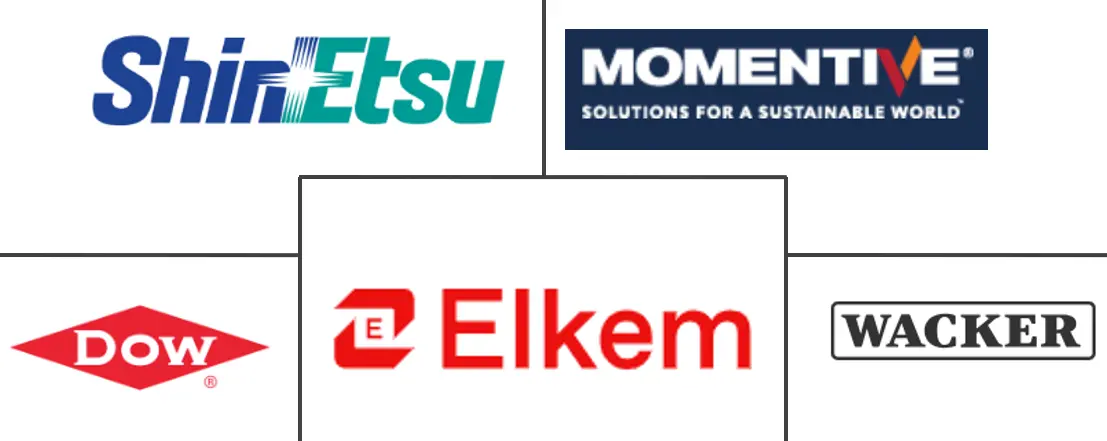 Major players in Silicone industry