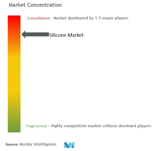 Silicone Market Concentration