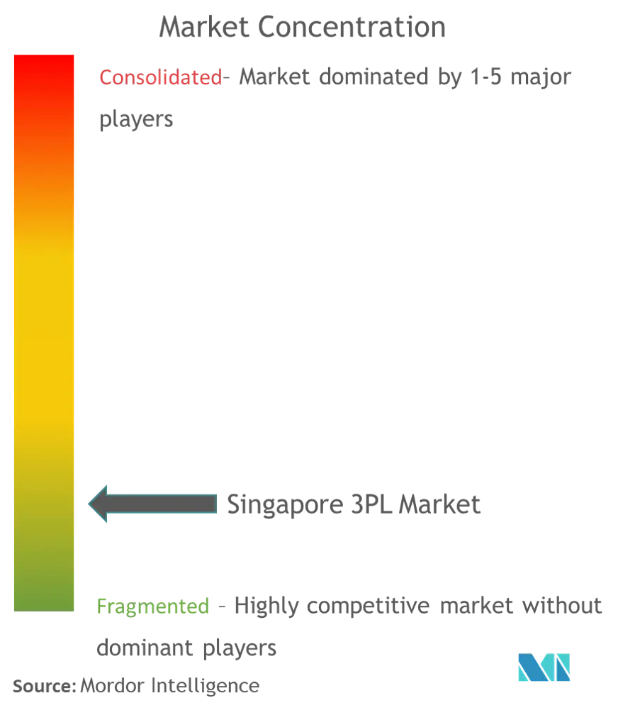 Singapore 3PL Market Concentration