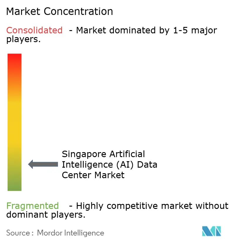 Singapore Artificial Intelligence (AI) Optimised Data Center Market Concentration