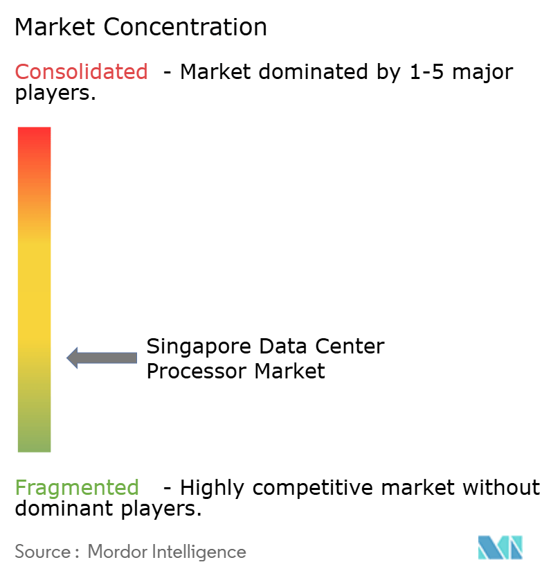 Singapore Data Center Processor Market Concentration