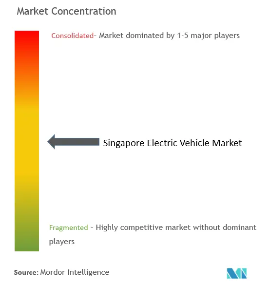 シンガポールの電気自動車市場の集中