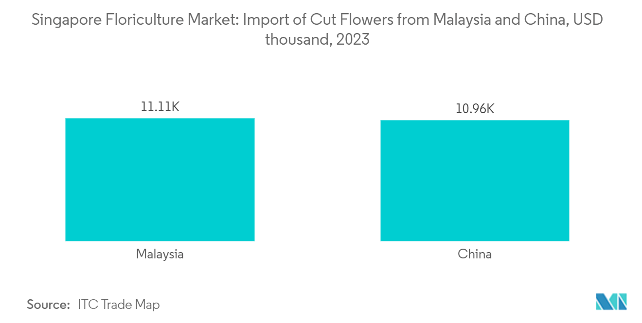 シンガポールの花卉市場：マレーシアと中国からの切花輸入（千米ドル）（2023年