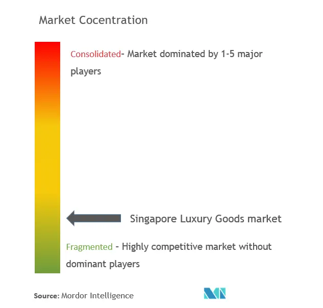 Singapore Luxury Goods Market Concentration