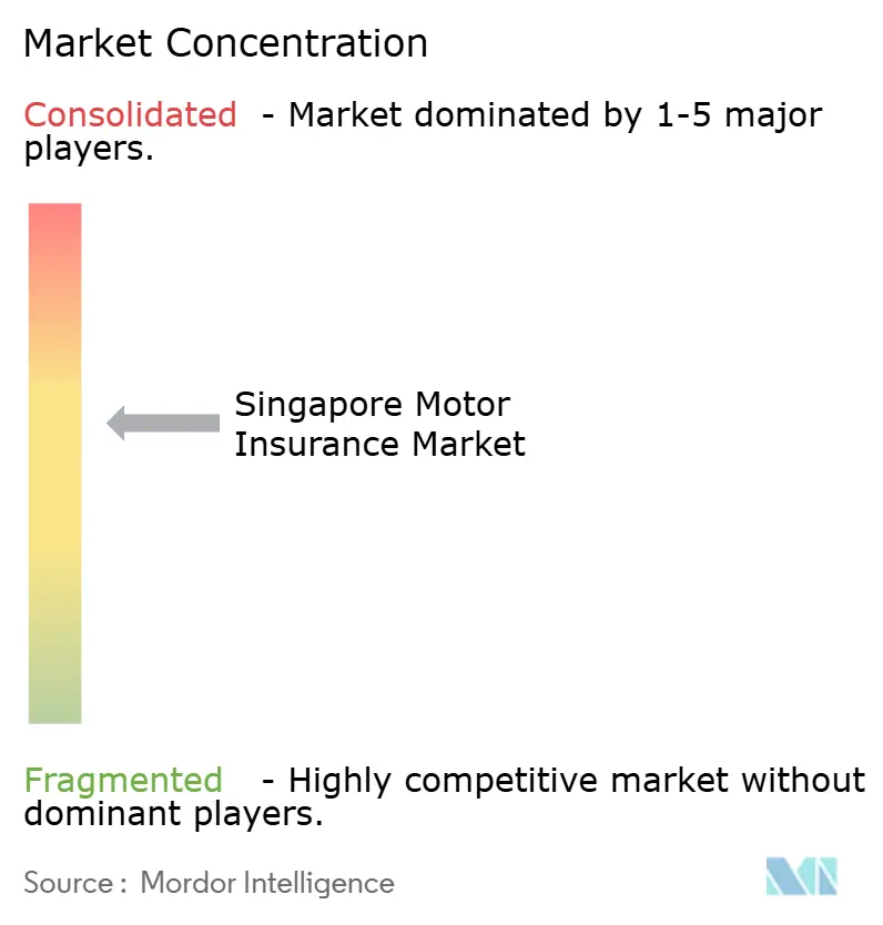 Singapore Motor Insurance Market Concentration