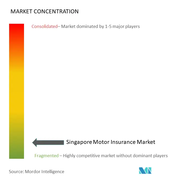 Kfz-Versicherung in SingapurMarktkonzentration