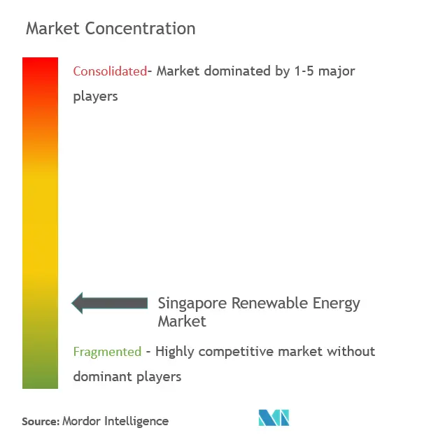 Erneuerbare Energie in SingapurMarktkonzentration