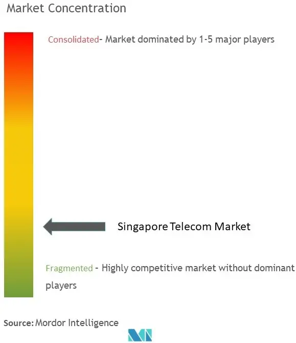 Singapore Telecom Market Concentration