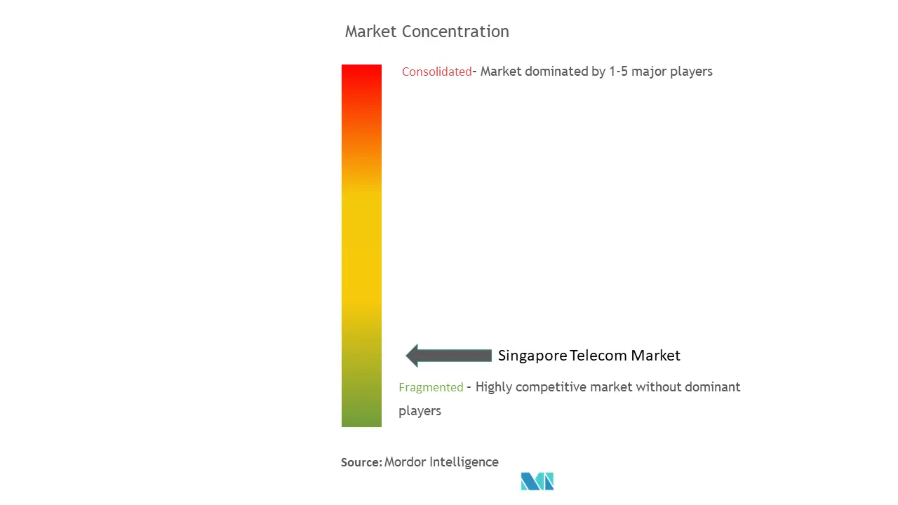 Singapore Telecom Market Concentration