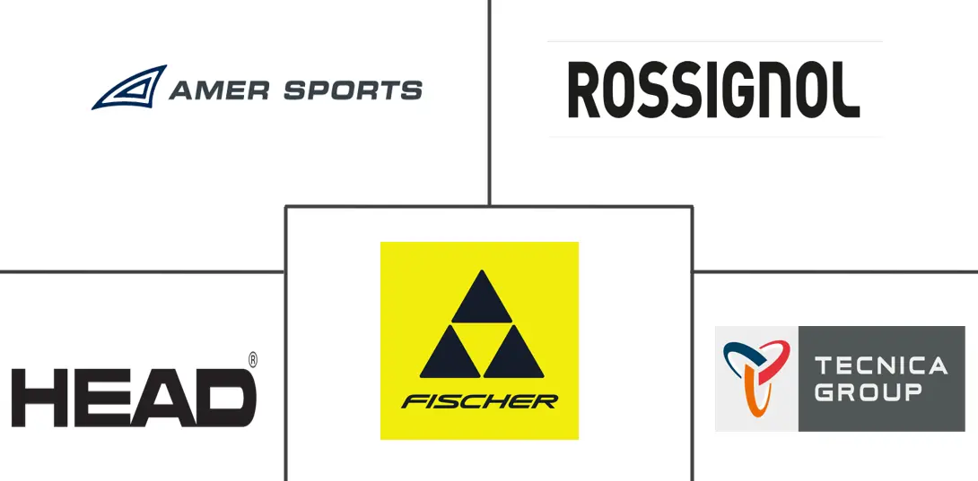 Major players in Ski Gear And Equipment industry