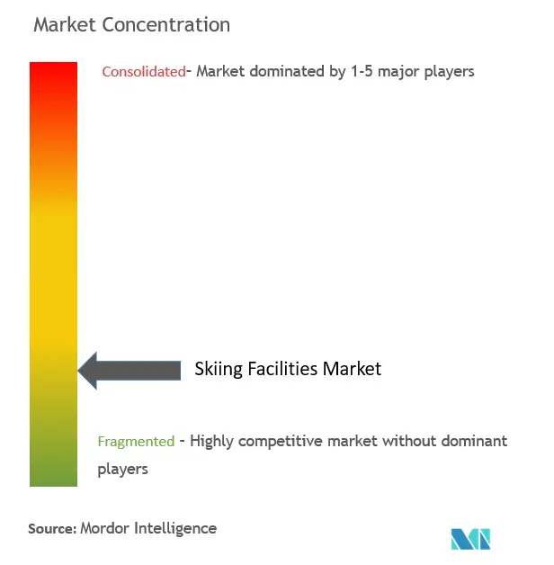 Skiing Facilities Market Concentration