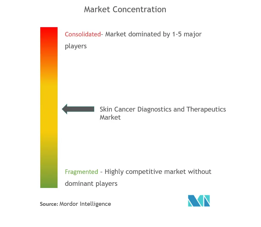 Skin Cancer Diagnostics and Therapeutics Market Concentration
