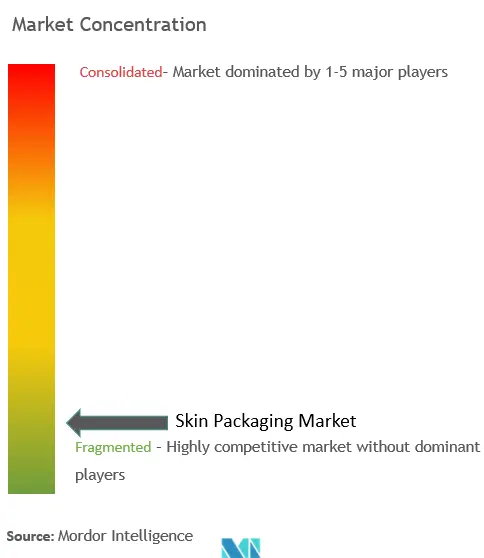 Skin Packaging Market Concentration