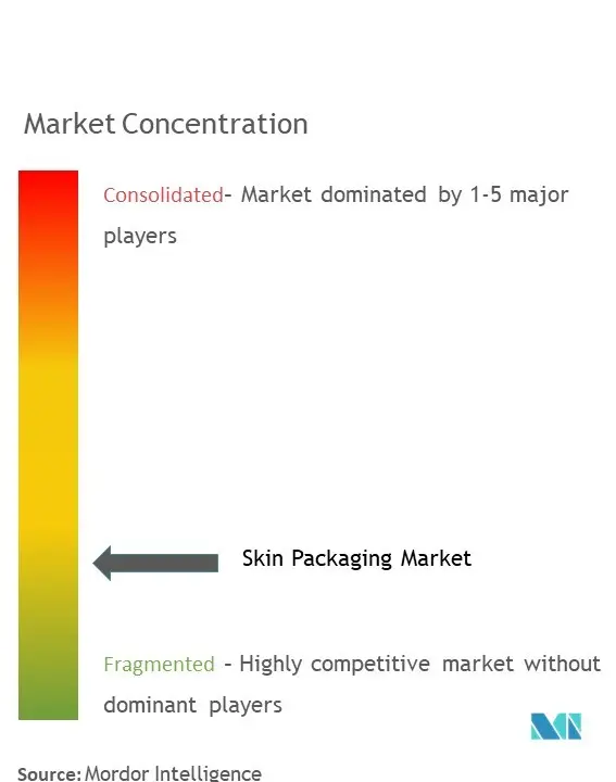 Skin Packaging Market Concentration