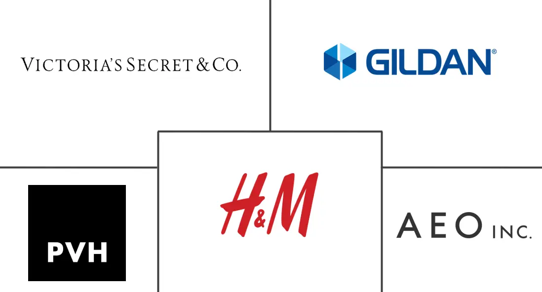 Major players in Sleepwear and Loungewear industry