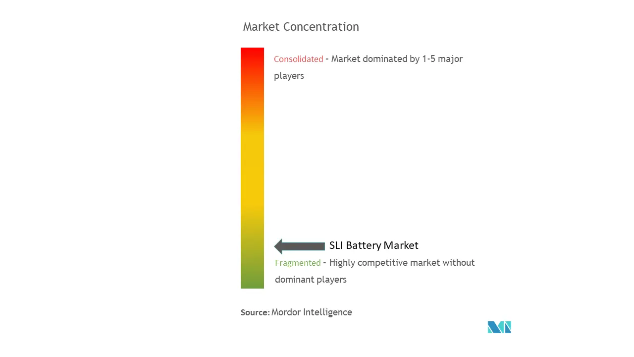 SLI Battery Market Concentration