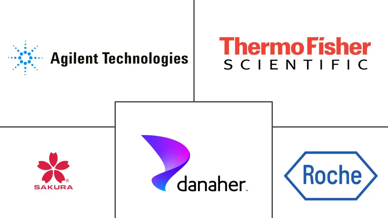 Logo delle aziende correlate