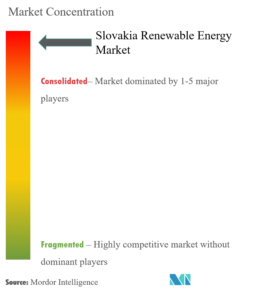 Slovakia Renewable Energy Market Concentration