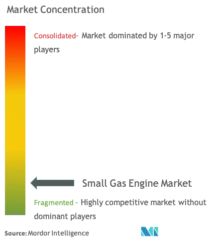 Small Gas Engine Market Concentration