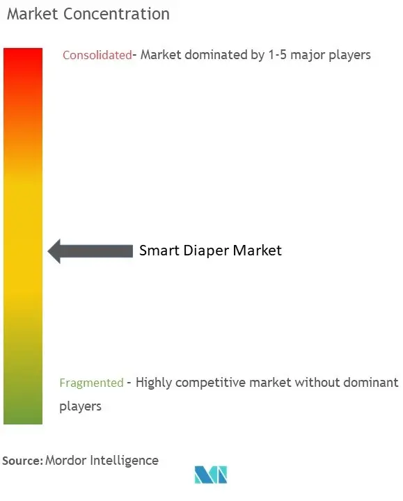 Smart Diaper Market Concentration