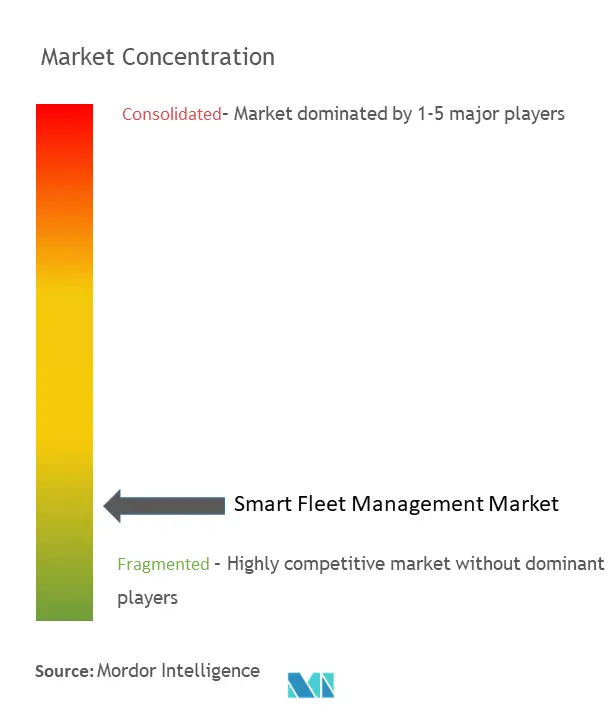 Smart Fleet Management Market Concentration