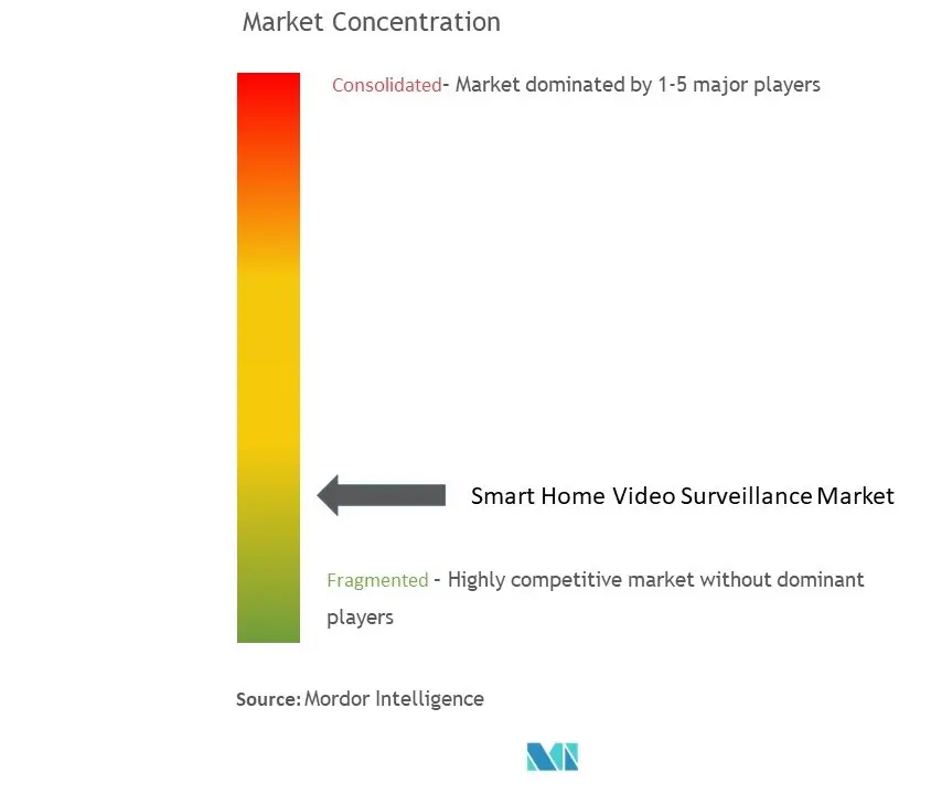 Smart Home Video Surveillance Market Concentration