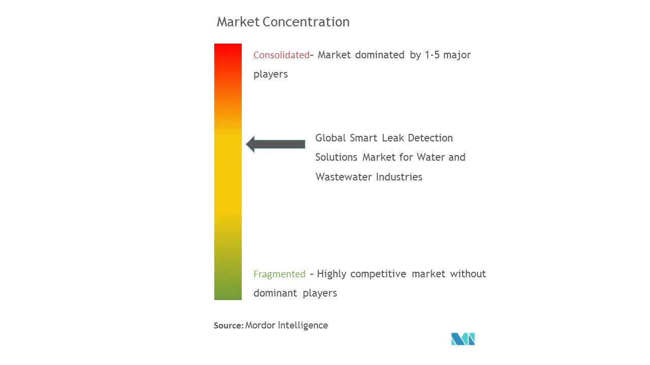 Smart Leak Detection Solutions Market For Water and Wastewater Industries Market Concentration