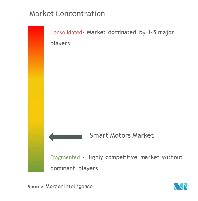 Smart Motors Market Concentration