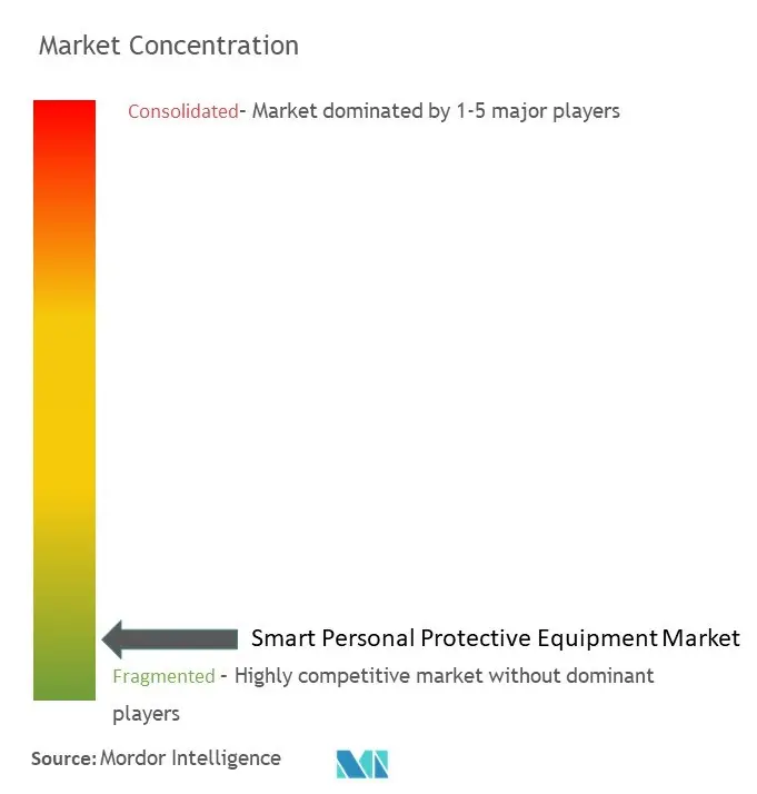 Smart Personal Protective Equipment Market Concentration