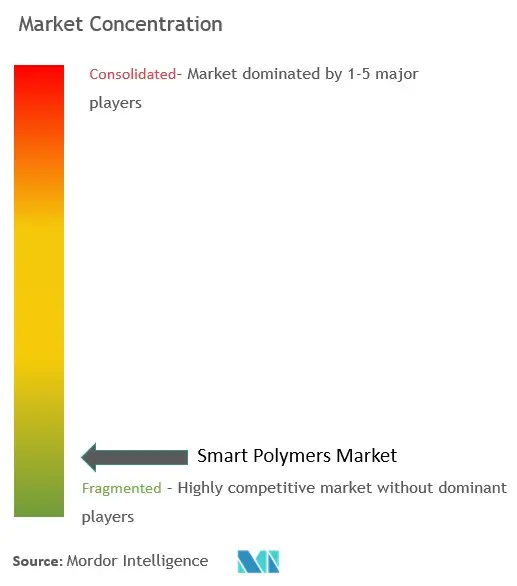 Smart Polymers Market  Concentration