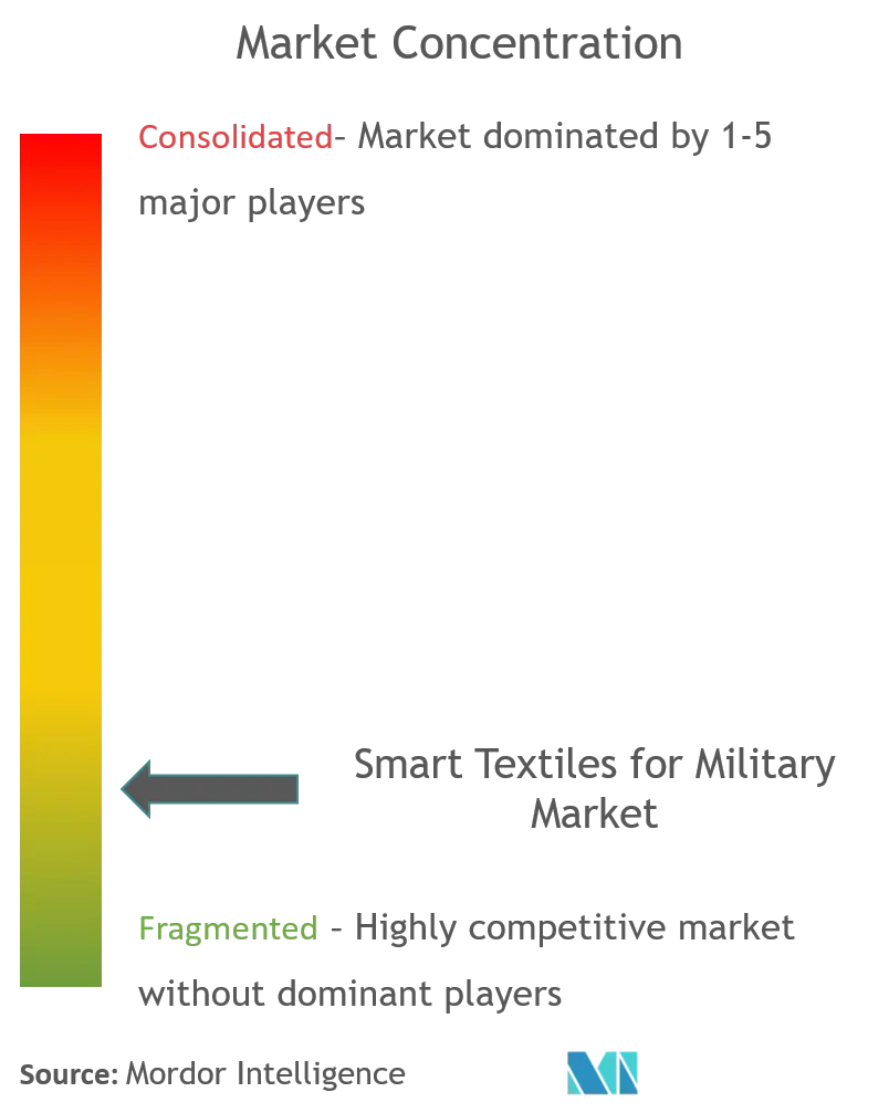 Smart Textiles For Military Market Concentration