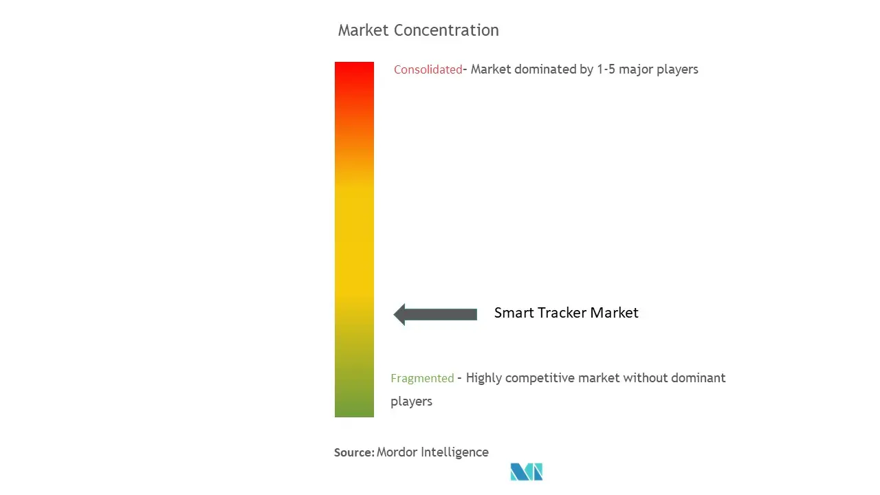 Smart Tracker Market Concentration