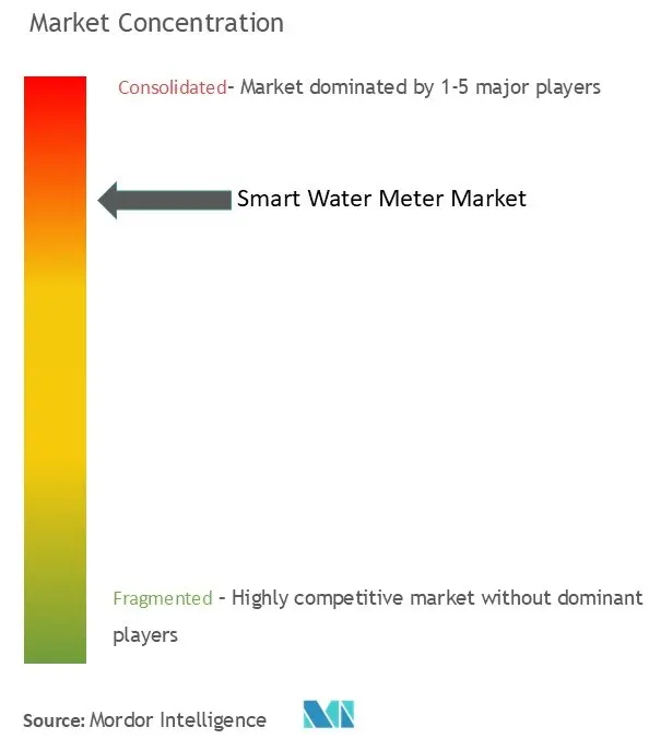 Smart Water Meter Martket Concentration