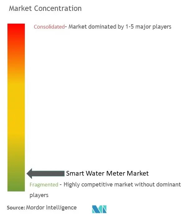 Smart Water Meter Market Concentration